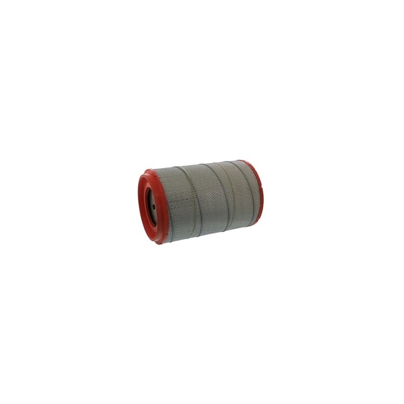 Filtras C 31 1254