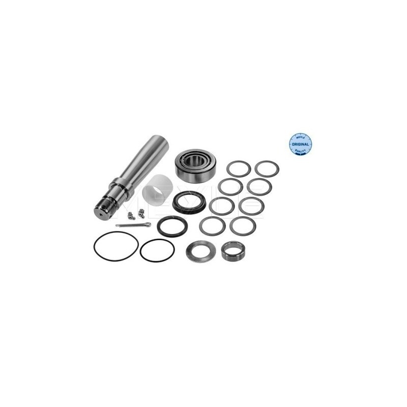 Šerdesas posūkio 38/50*251mm su guoliu