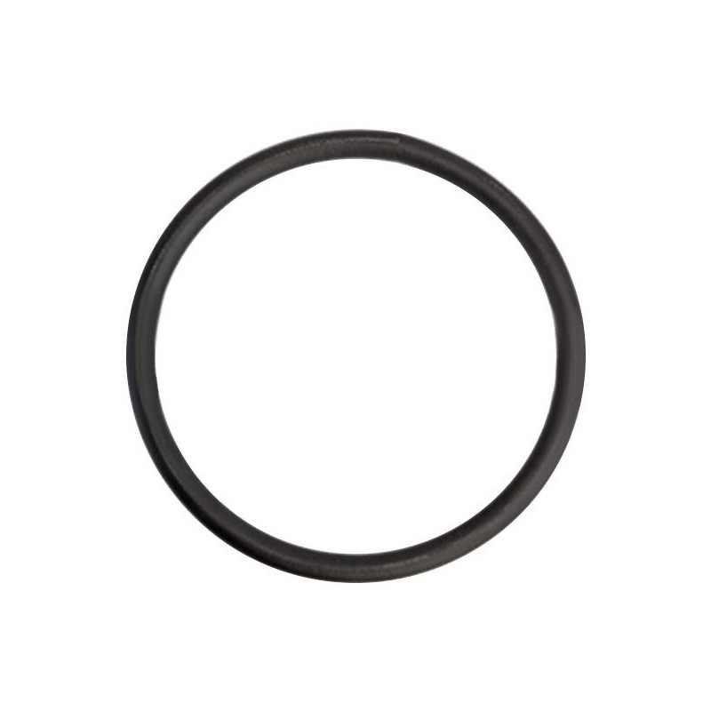 Žiedas 170*12,5 žarnos oro paėmimo