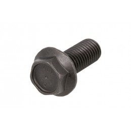 Varžtas M14*2,0*35 (10vnt)