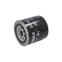 Filtras W 610/1