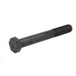 Varžtas M16*1,5*60/D19*40 suportui